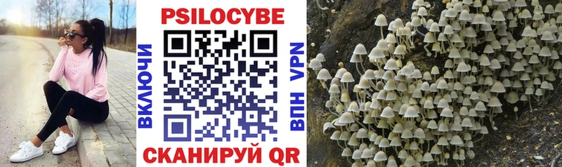 Галлюциногенные грибы MAGIC MUSHROOMS darknet телеграм Чулым